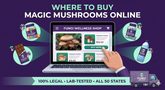 Where to Buy Magic Mushrooms Online: A Complete Guide to Legal, Lab-Tested Products
