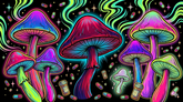 Microdosing Mushrooms: What It Is and How to Get Started the Right Way