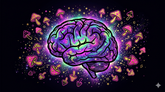 Benefits of Microdosing Mushrooms: What People Report and Why It Matters
