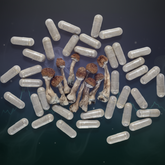 Non Detect Mushroom Capsules