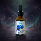 Non Detect Mushroom Tincture