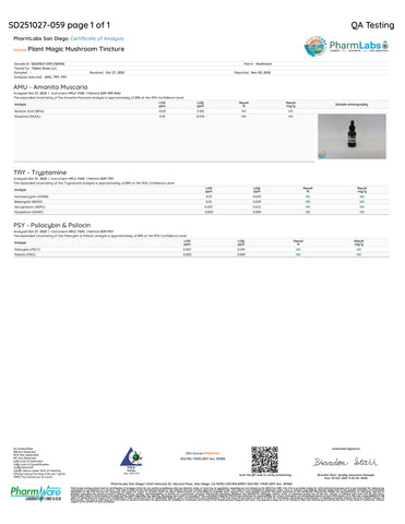 Non Detect Mushroom Tincture