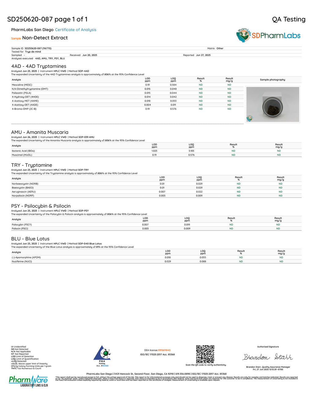 Non Detect Mushroom Extract