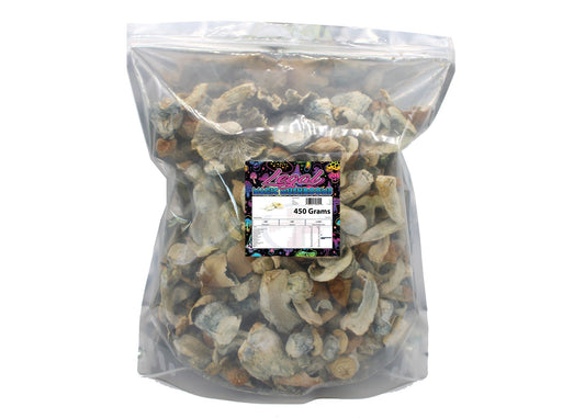 Bulk Non Detect Mushrooms