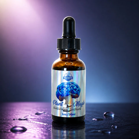 Non Detect Mushroom Tincture