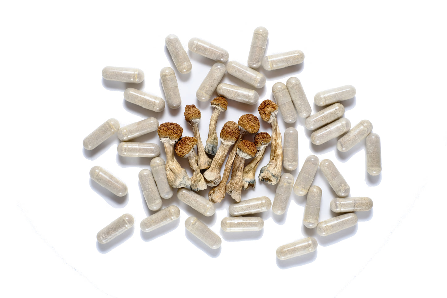 Non Detect Mushroom Capsules - 50% Off