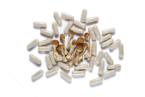 Non Detect Mushroom Capsules